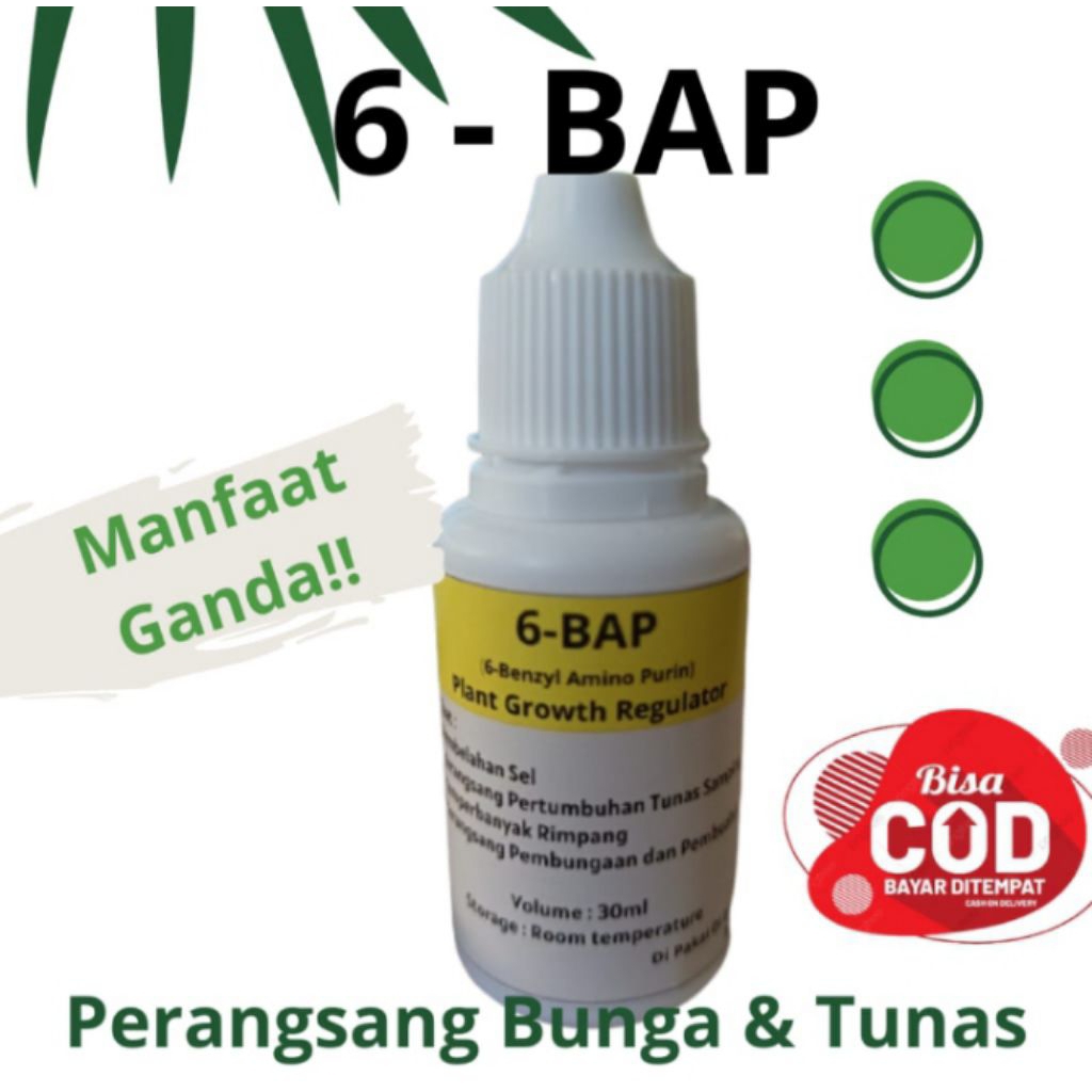 Hormon Pembungaan Anggrek 6-BAP | 6 ВАР Untuk Membungakan . Menumbuhkan Tunas Anggrek.