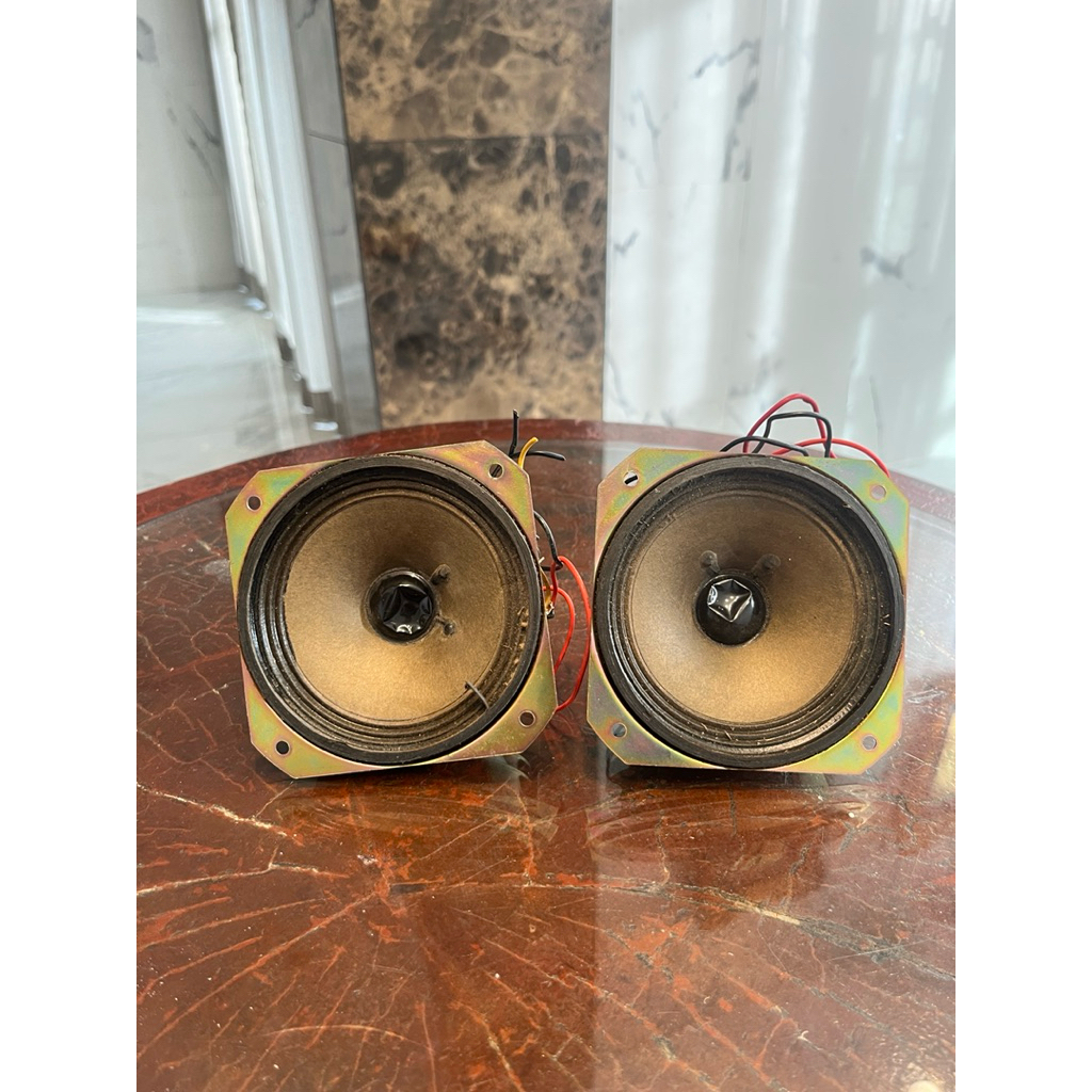 Speaker Copotan TV