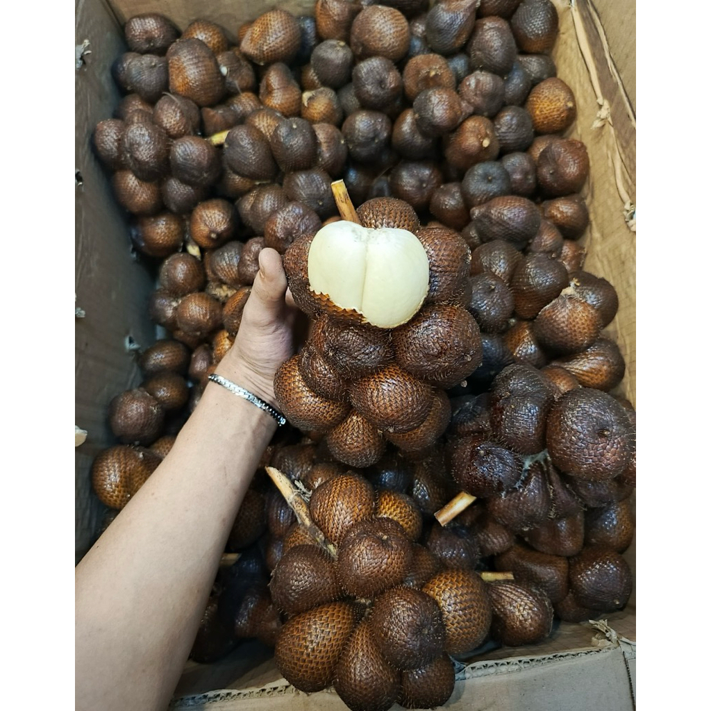 

Promo Salak Gula Pasir Manis | Salak Bali Super Manis Fresh 10kg | Box