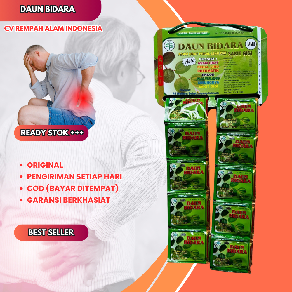 

Daun Bidara Original Kapsul (Asam Urat)