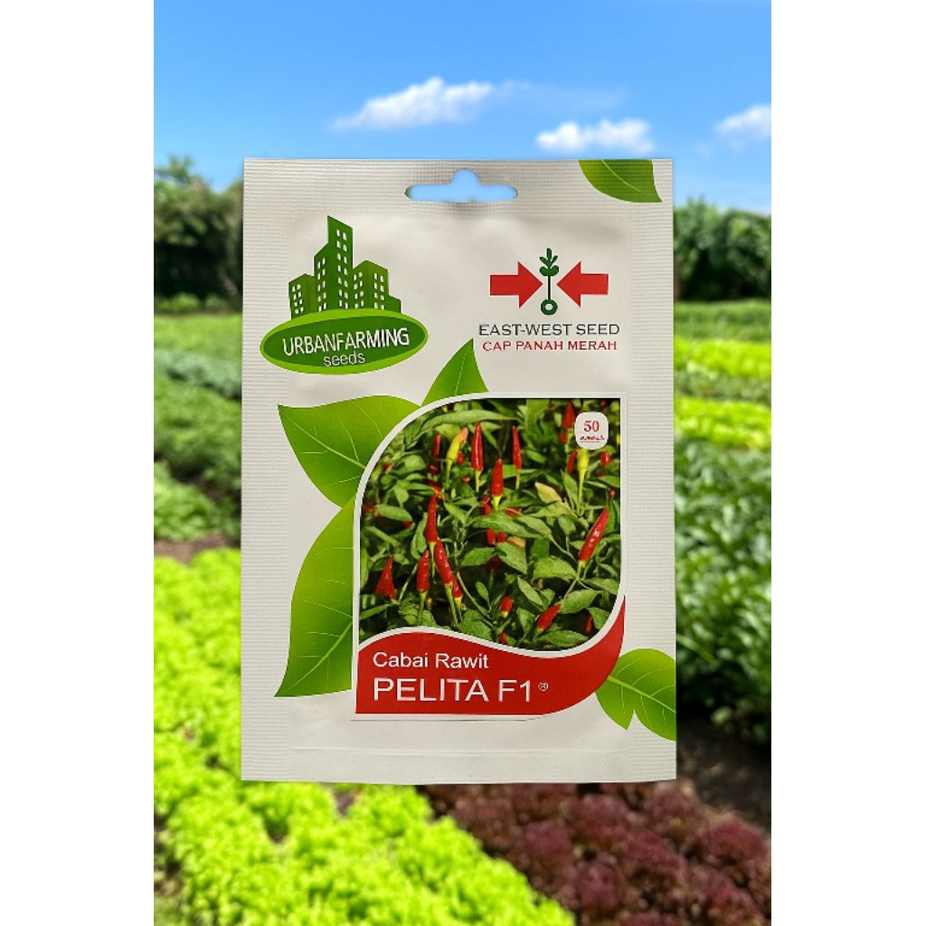 Panah Merah Cabai Rawit PELITA F1