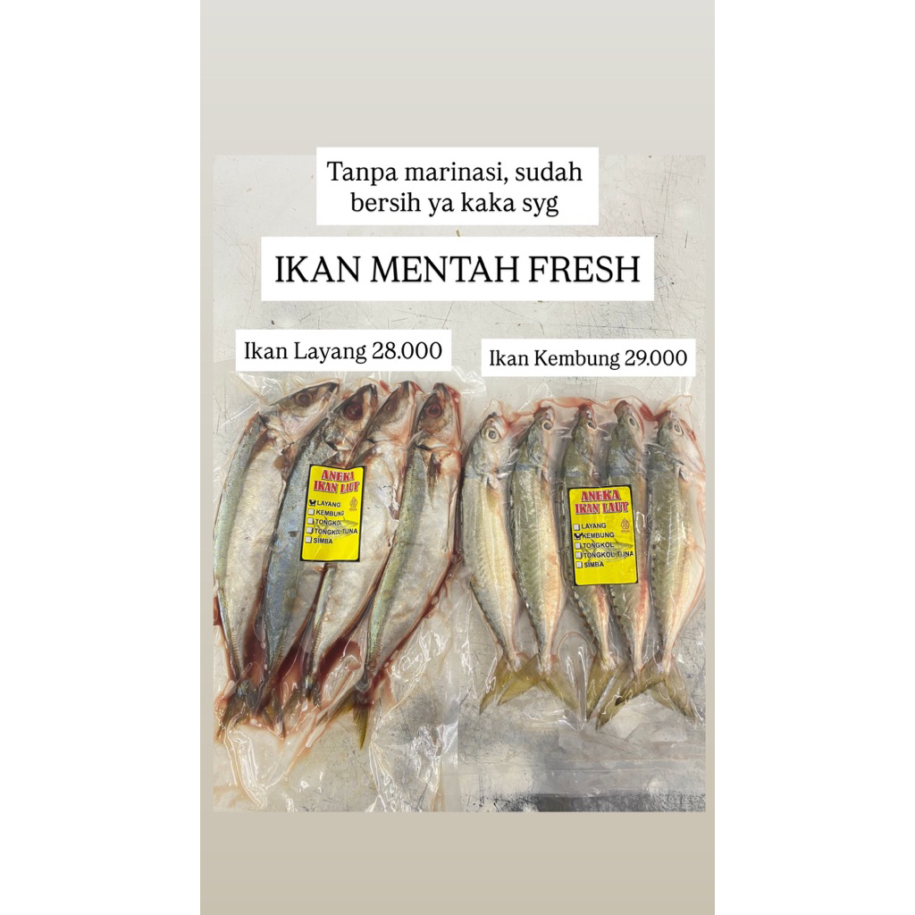 

IKAN KEMBUNG MENTAH
