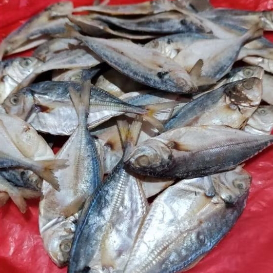

Ikan Asin Amping 500 gr murah terjangkau
