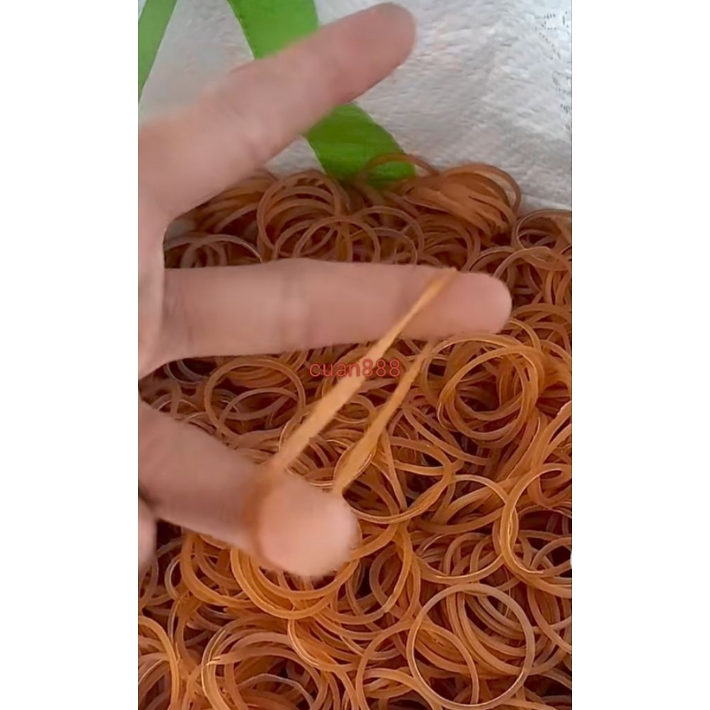 

16mm rubber brand karet kuning matang SS isi 80 gram