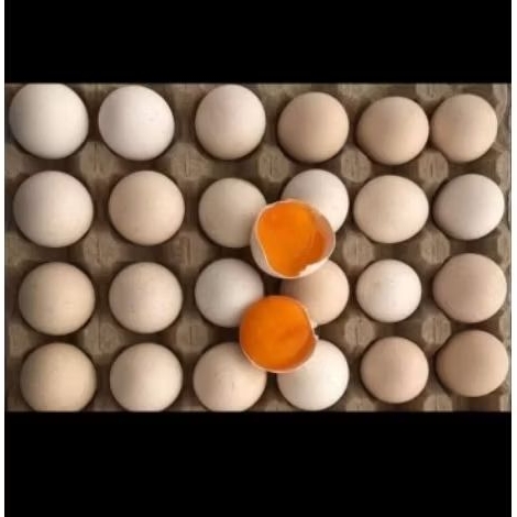 

telor ayam kampung aseli.telor ayam Jawa.telor ayam omega 3.fress