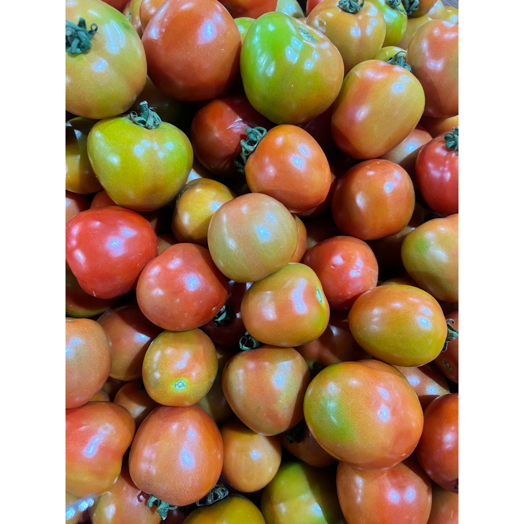 

BUAH TOMAT 500G