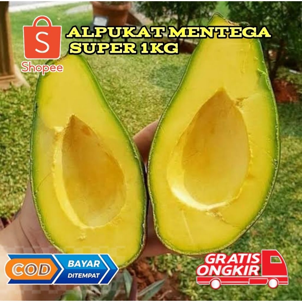 

Alpukat Mentega super kuning 1kg isi 4,5,6 buah kualitas supermarket (kirim dengan keadaan mentah)