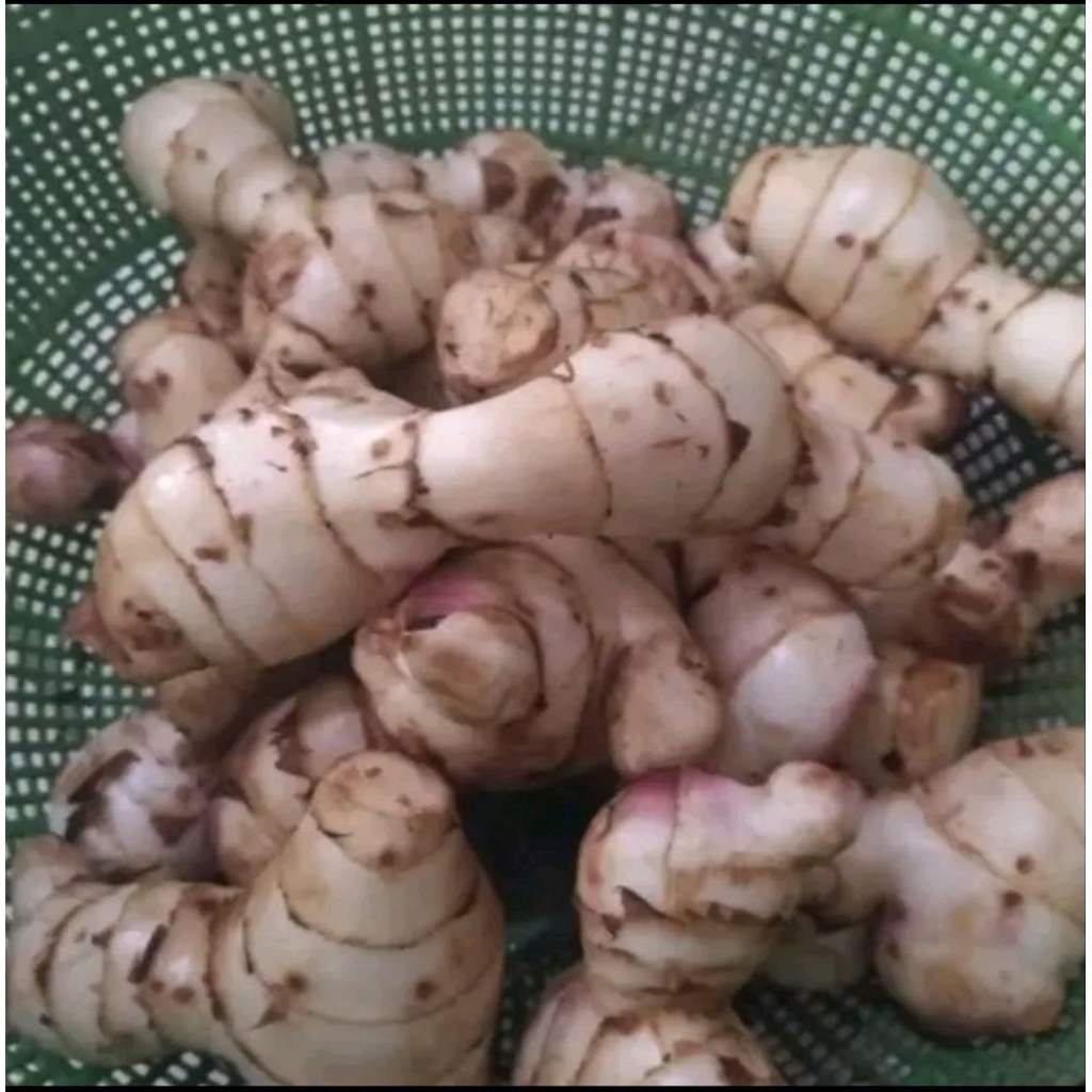 

ubi ganyol merah segar paket 1,KG SIAP KIRIM