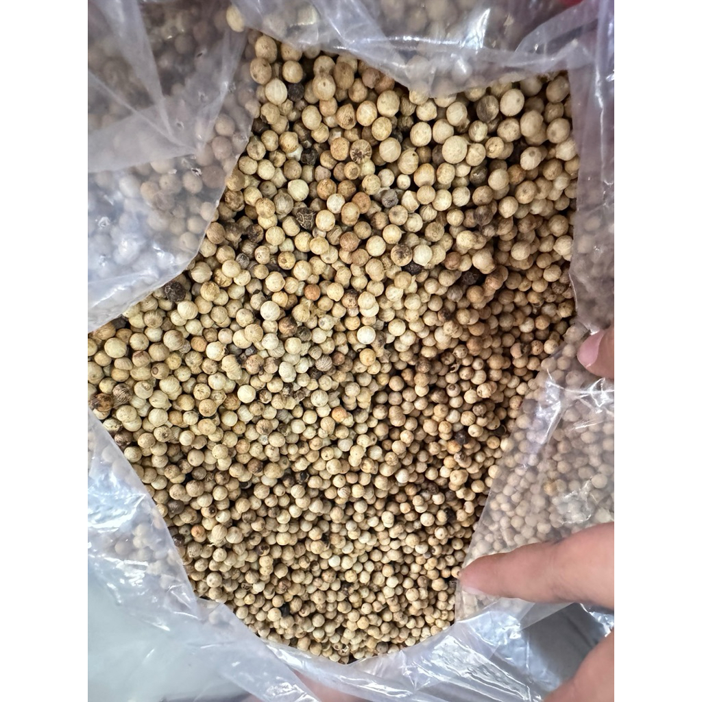 

Lada Putih Merica Bulat 100 Gram