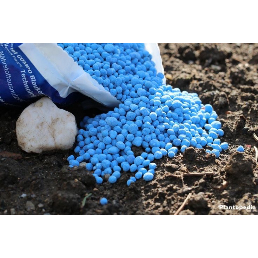 pupuk npk mutiara biru
