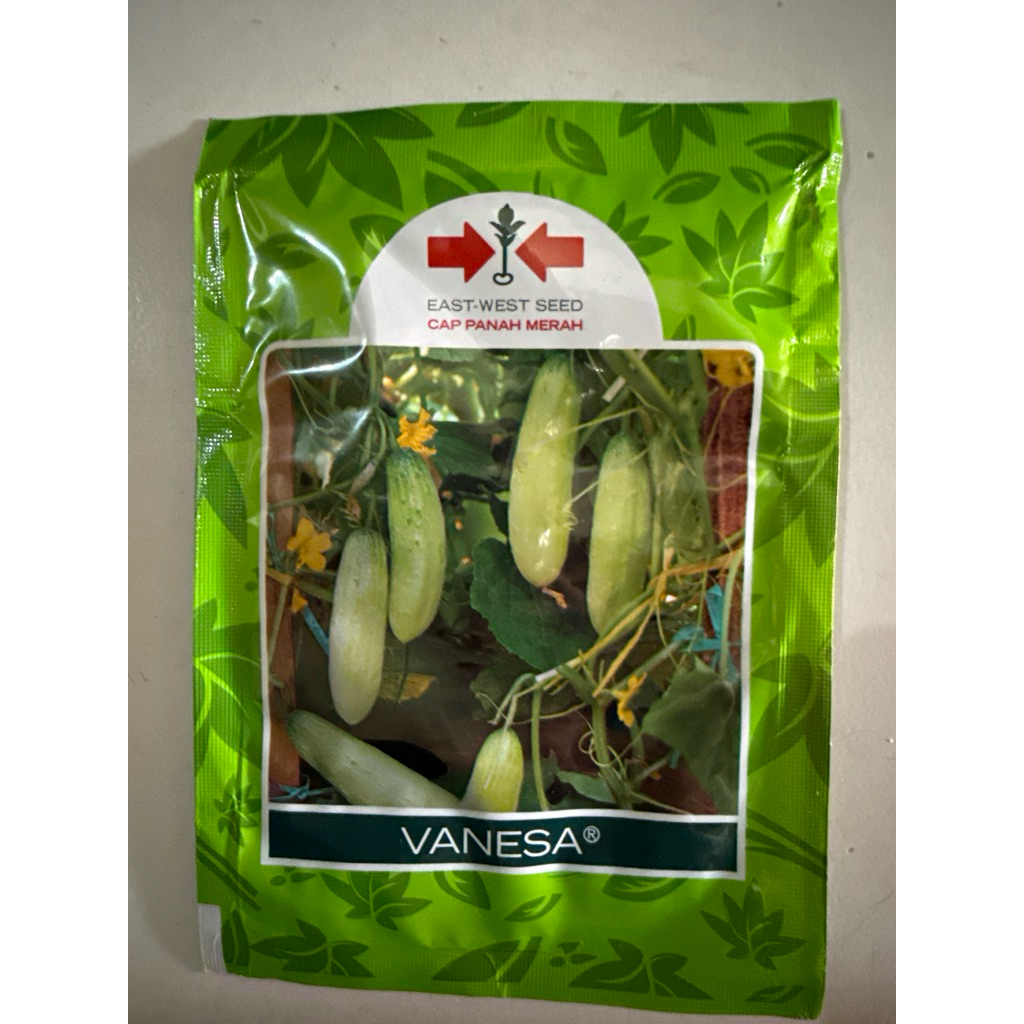 Benih Timun lalap - bibit mentimun hijau Vanesa panah merah 20 gram