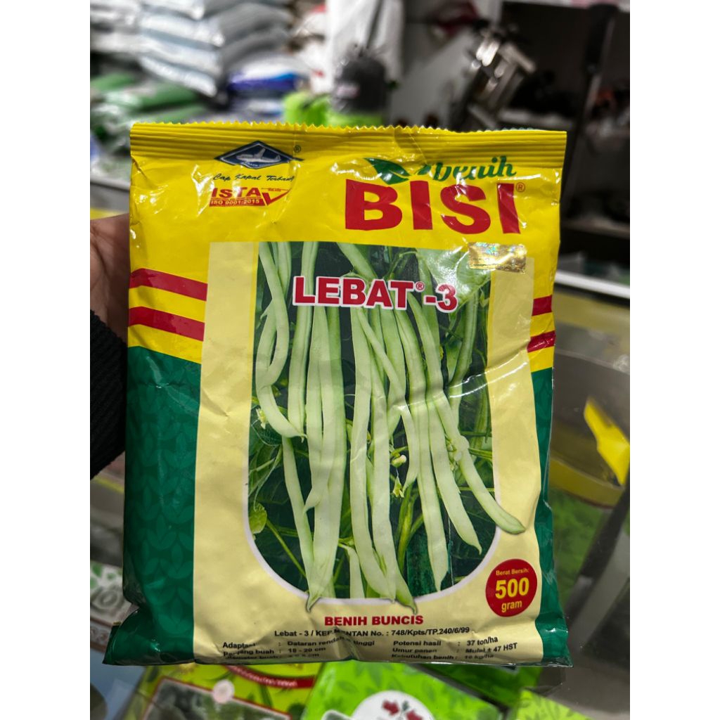 

BENIH BUNCIS LEBAT-3 500GRAM