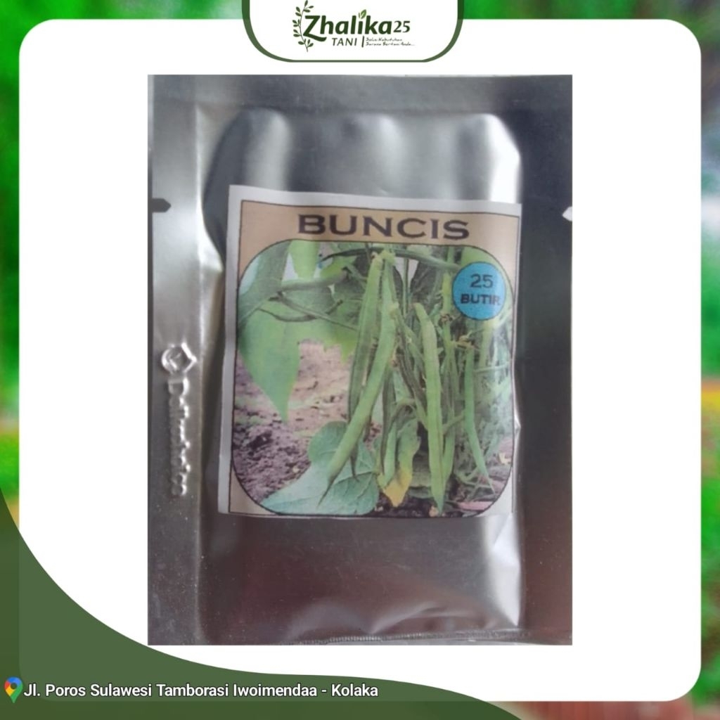 

BUNCIS Benih isi ±25 biji