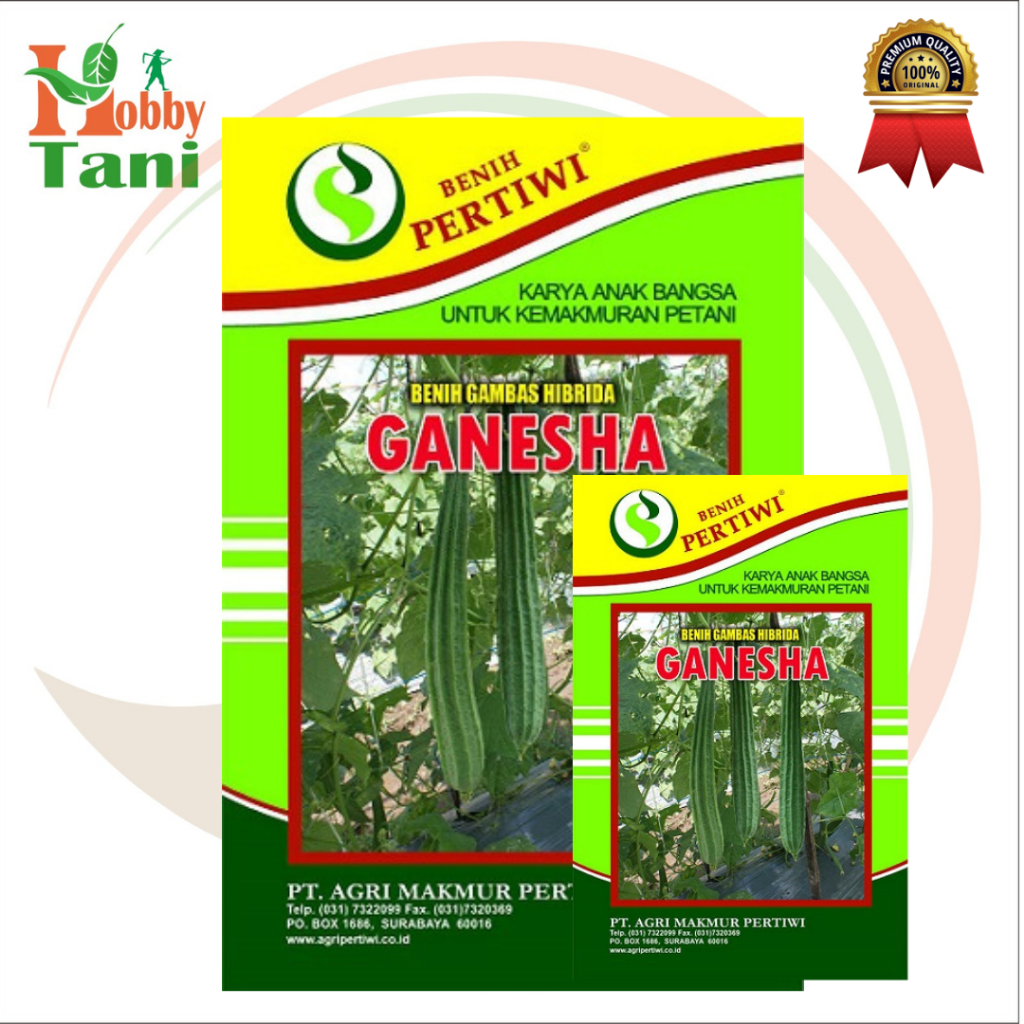Benih Bibit Oyong Gambas Ganesha F1 10 Gram Cap Pertiwi