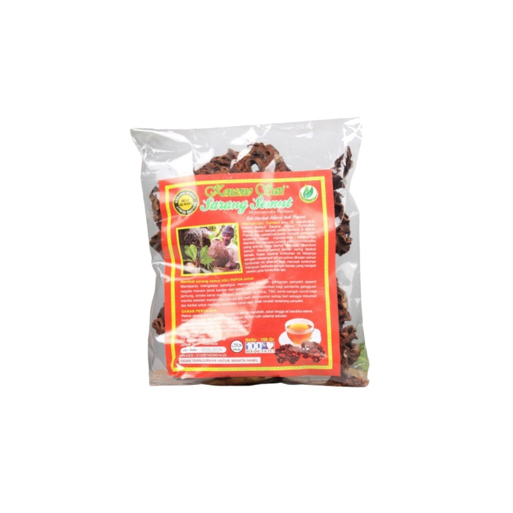 

Sarang Semut Kencono Sari – Herbal Asli Papua Serbuk Alami – BPOM