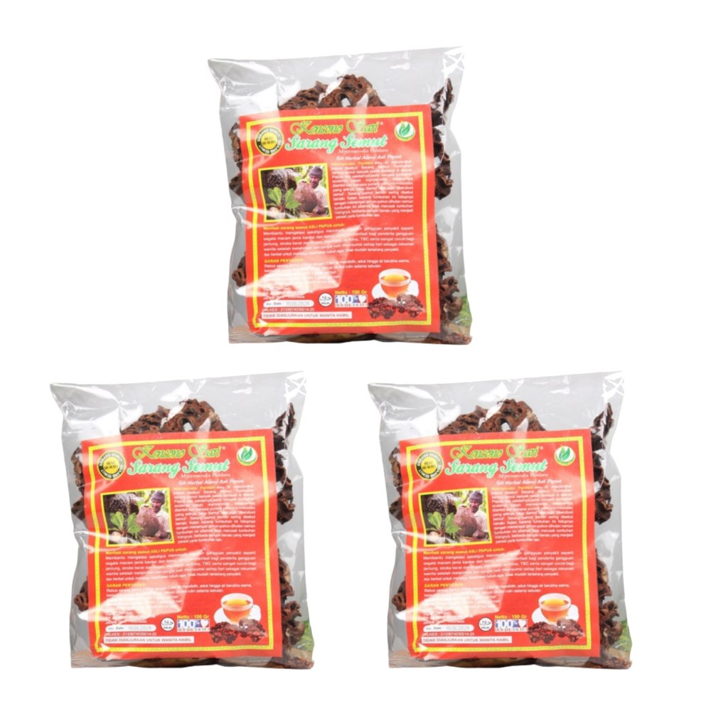 

3 PCS Sarang Semut Kencono Sari – Herbal Asli Papua Serbuk Alami – BPOM TR19363050