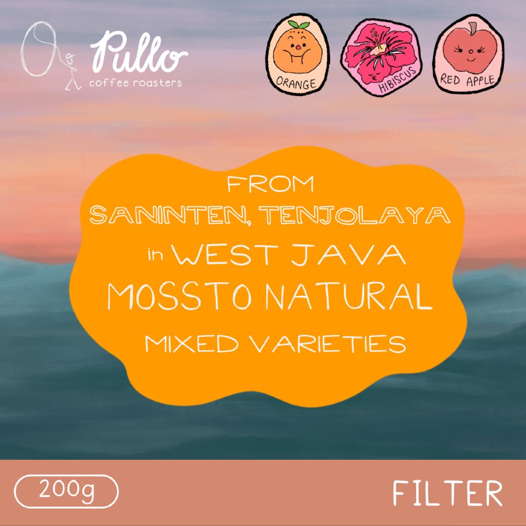 

Filter Roast - Saninten Tenjolaya Mossto Natural