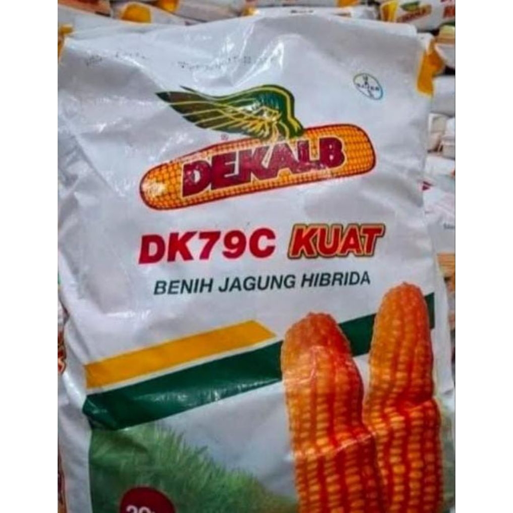 

Jagung Hibrida DK 79C KUAT Kemasan 1 Kg