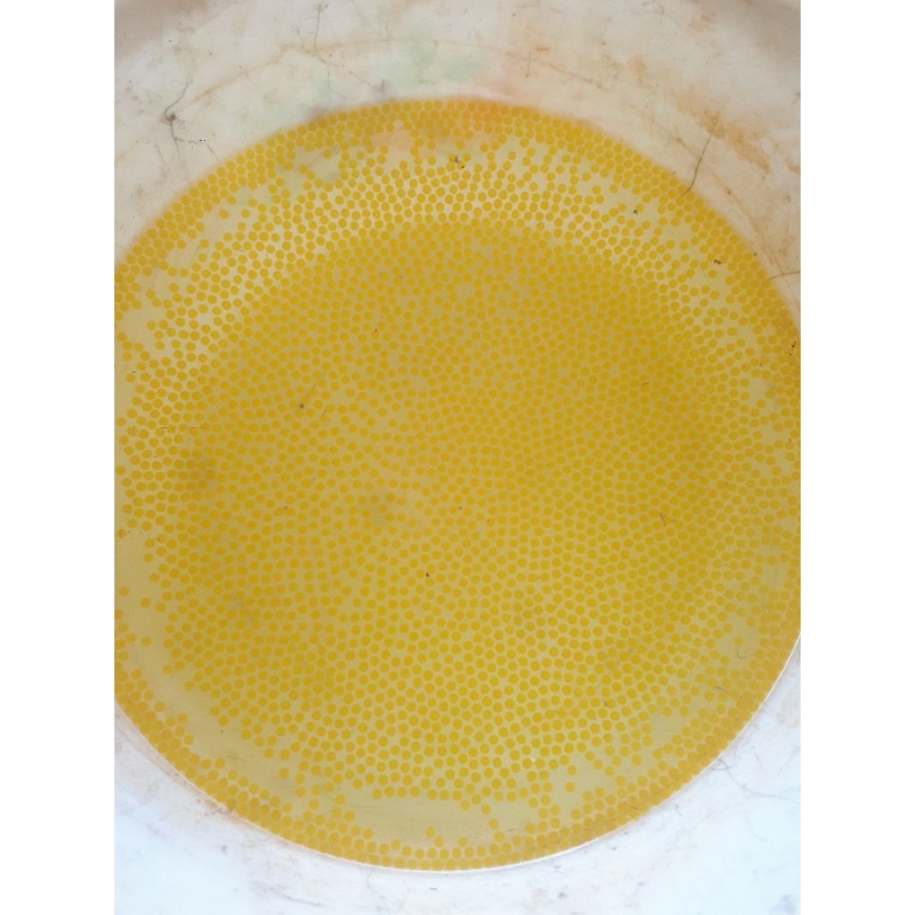 

Telur ikan gurame soang 500 perkantong