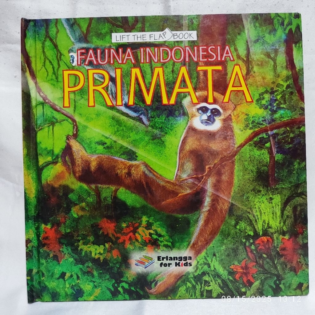 buku anak lift flap book erlangga for kids primata