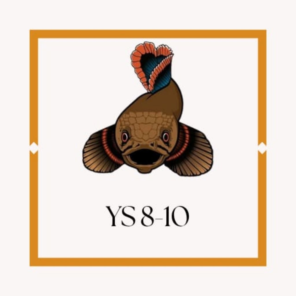 stiker ys 8-10 cm bar rapi full pelet