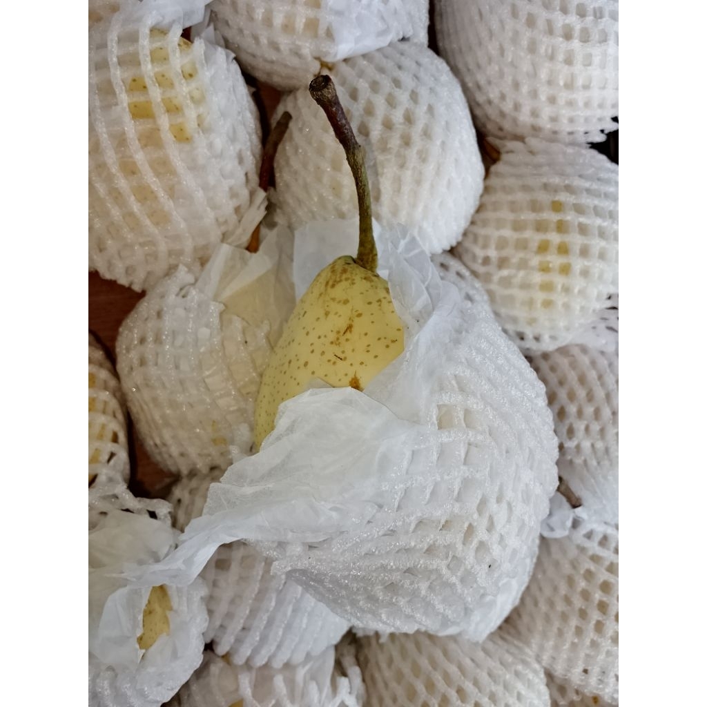 

Buah Pear Import