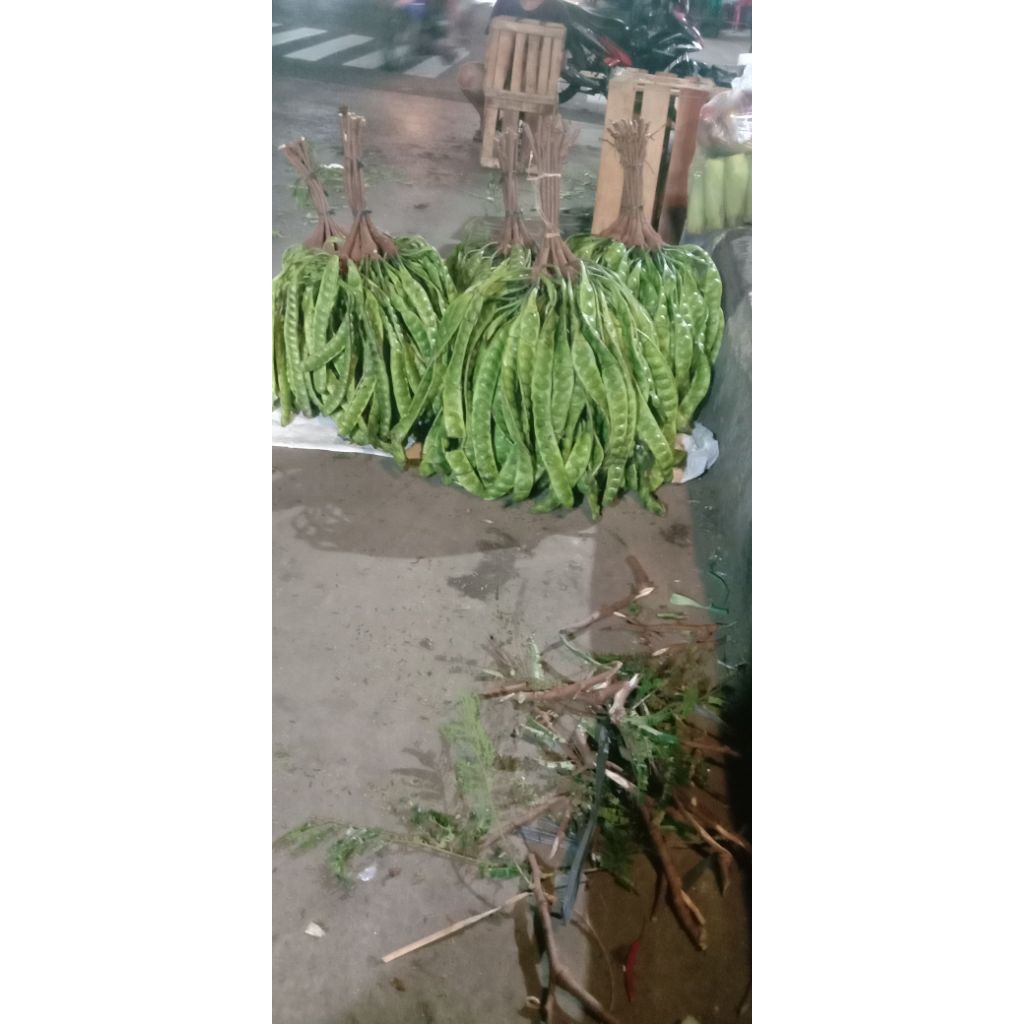 

Pete A1 petey pilihan