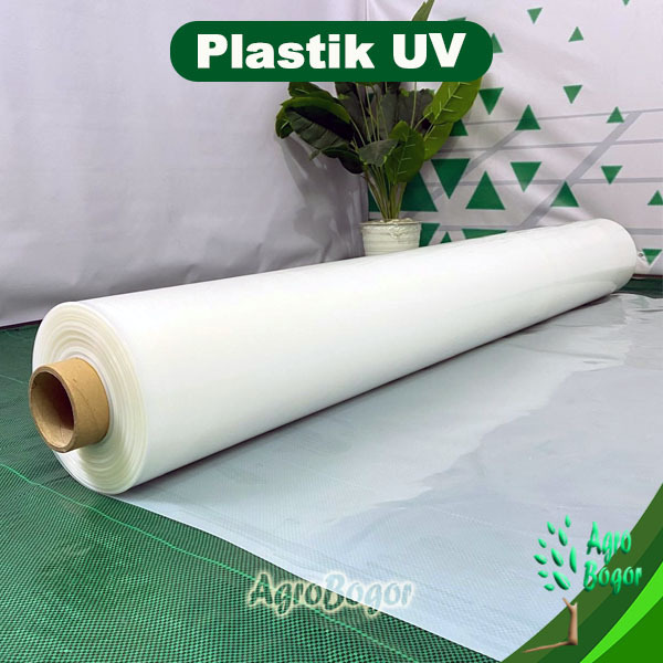 Best Plastik UV Lebar 6 Meter, Plastik UV Eceran