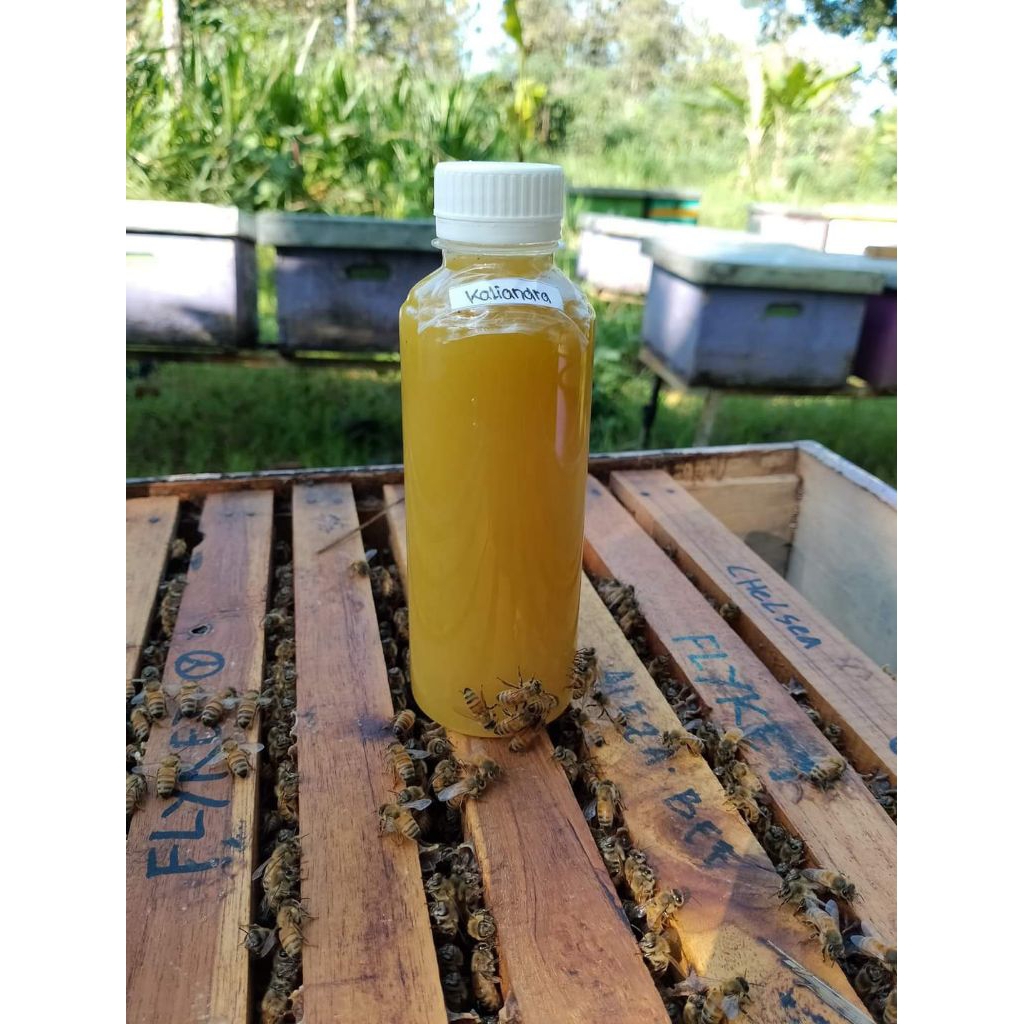 

madu kaliandra 350 gram
