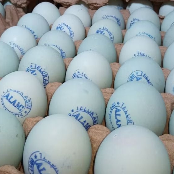 

TELOR ASIN ALAMI masir, enak, gurih, gak bikin enek ,tidak berair