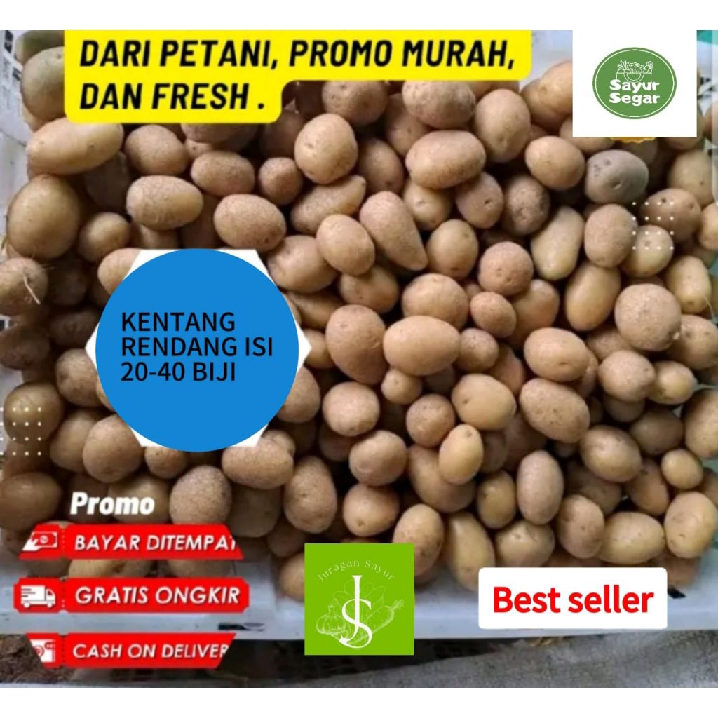 

Terlaris No.1 kentang Dieng ukuran kecil mini isi melimpah