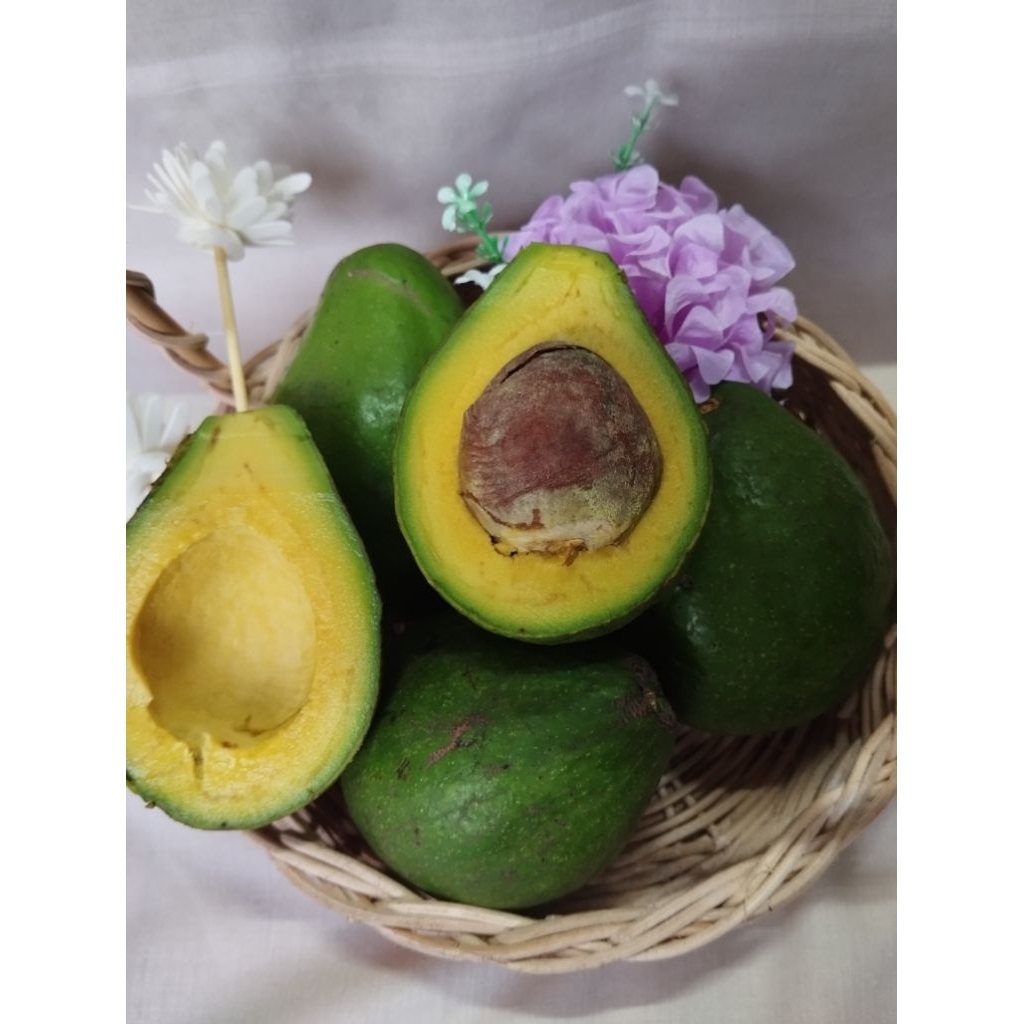 

Alpukat Mentega Lampung 1kg Regular