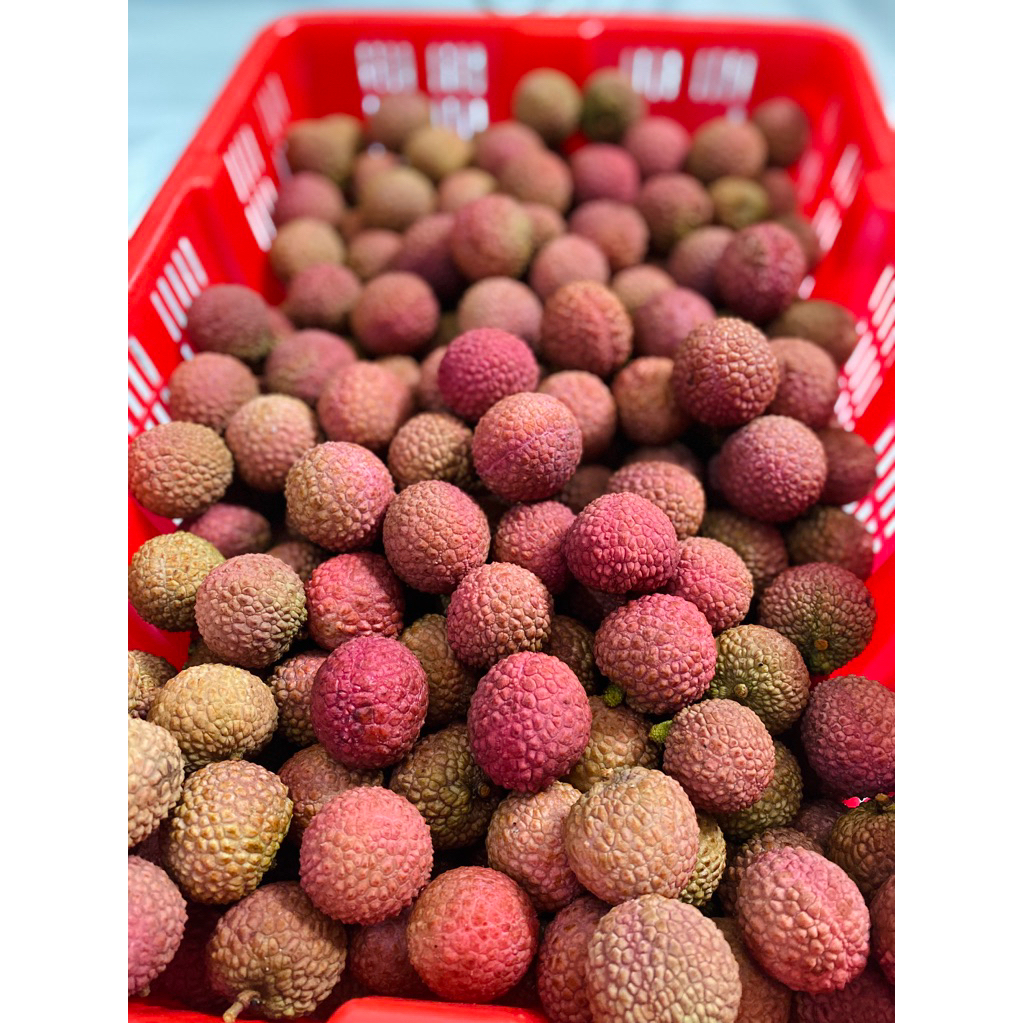 

Leci Thailand Premium