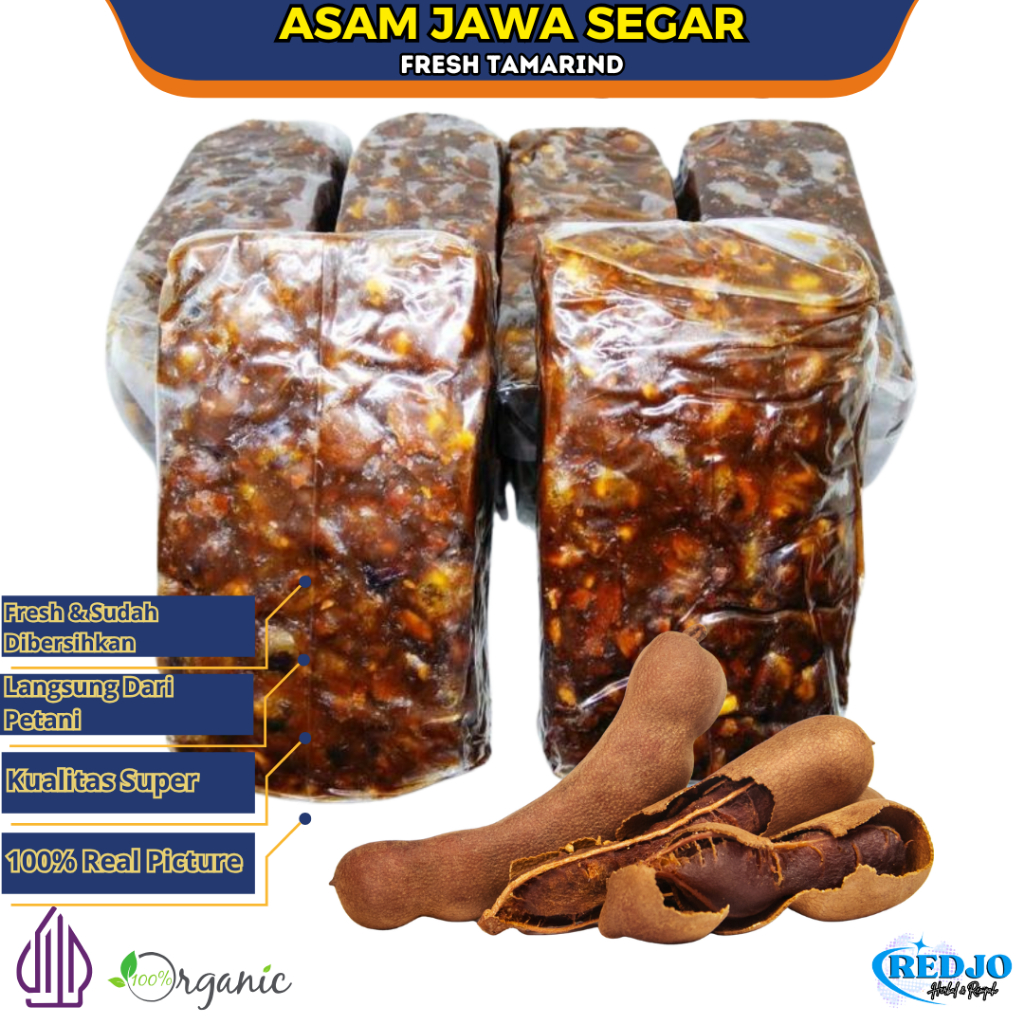 

Asam Jawa Asli Segar Kupas Panen Baru Kualitas Super Premium Asem Jawa Fresh Tamarind