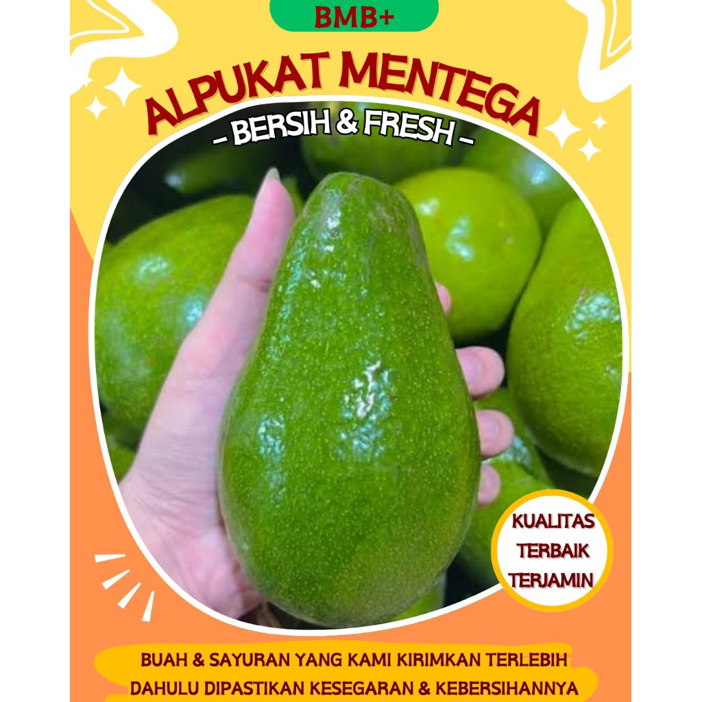 

BMB+ Alpukat Mentega / Alpukat Kualitas Unggul