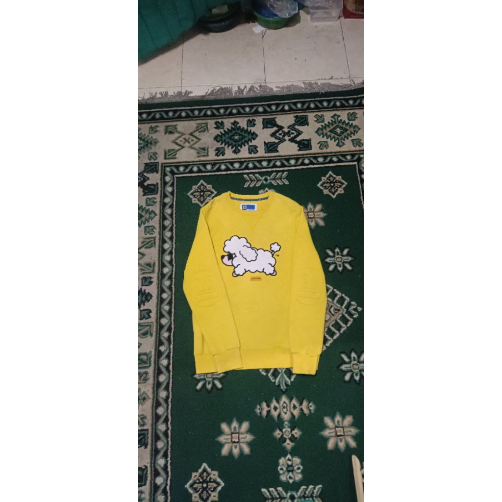 CN PANCOAT DOMBA ORIGINAL