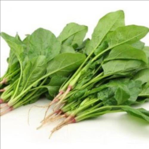 

English Spinach 250gr – Bayam Hijau Segar