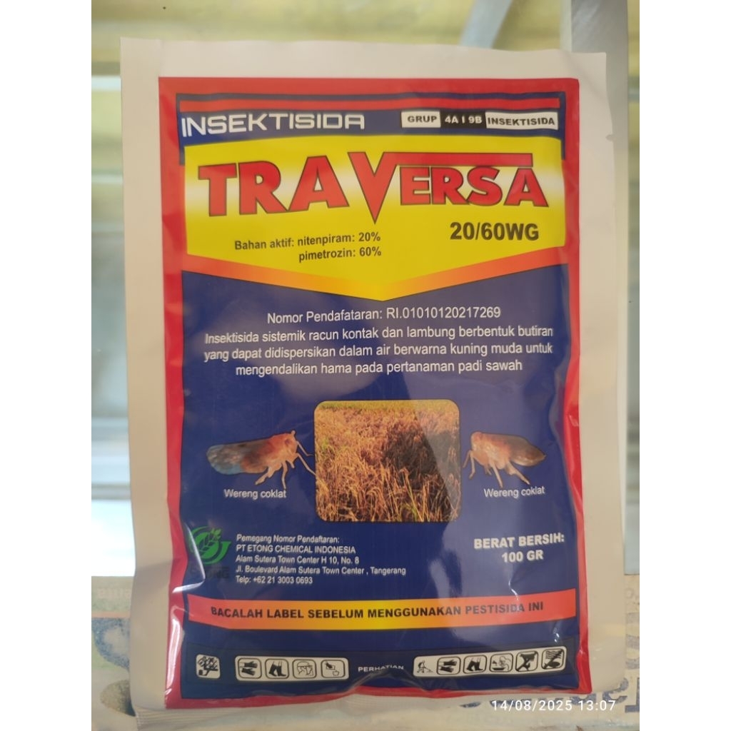 TRAVERSA 20/60WG 100GR