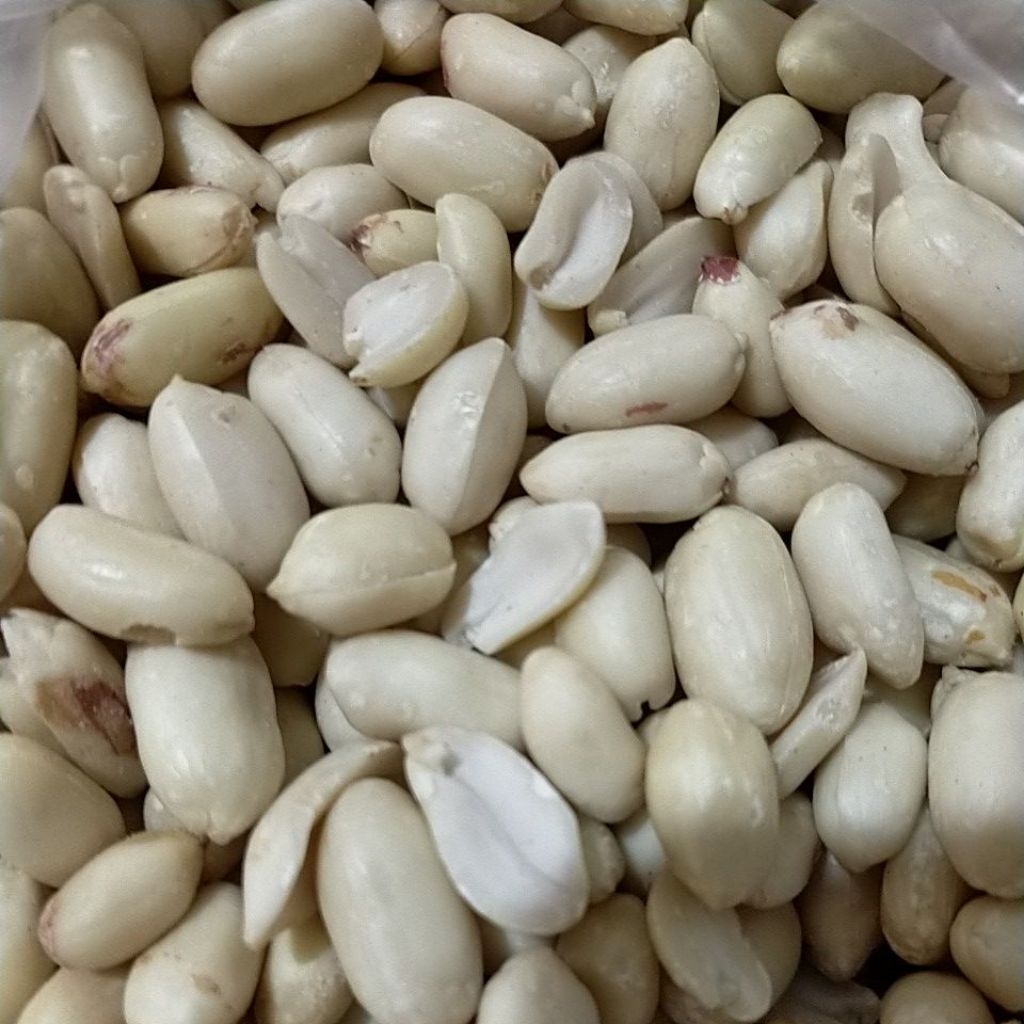 

kacang kupas besar 25/29 /kacang bawang/ kacang lebaran