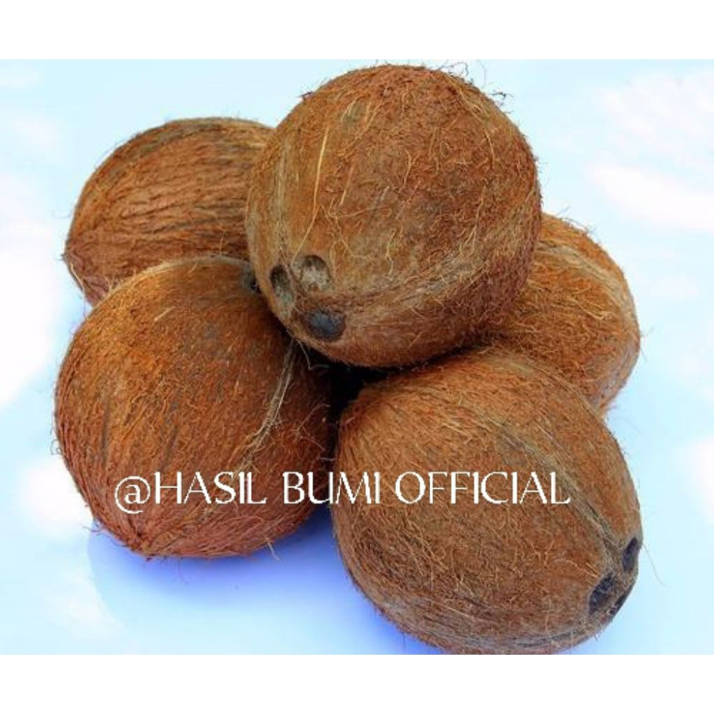 

KELAPA TUA KERING FRESS BAGUS BUAT SANTAN