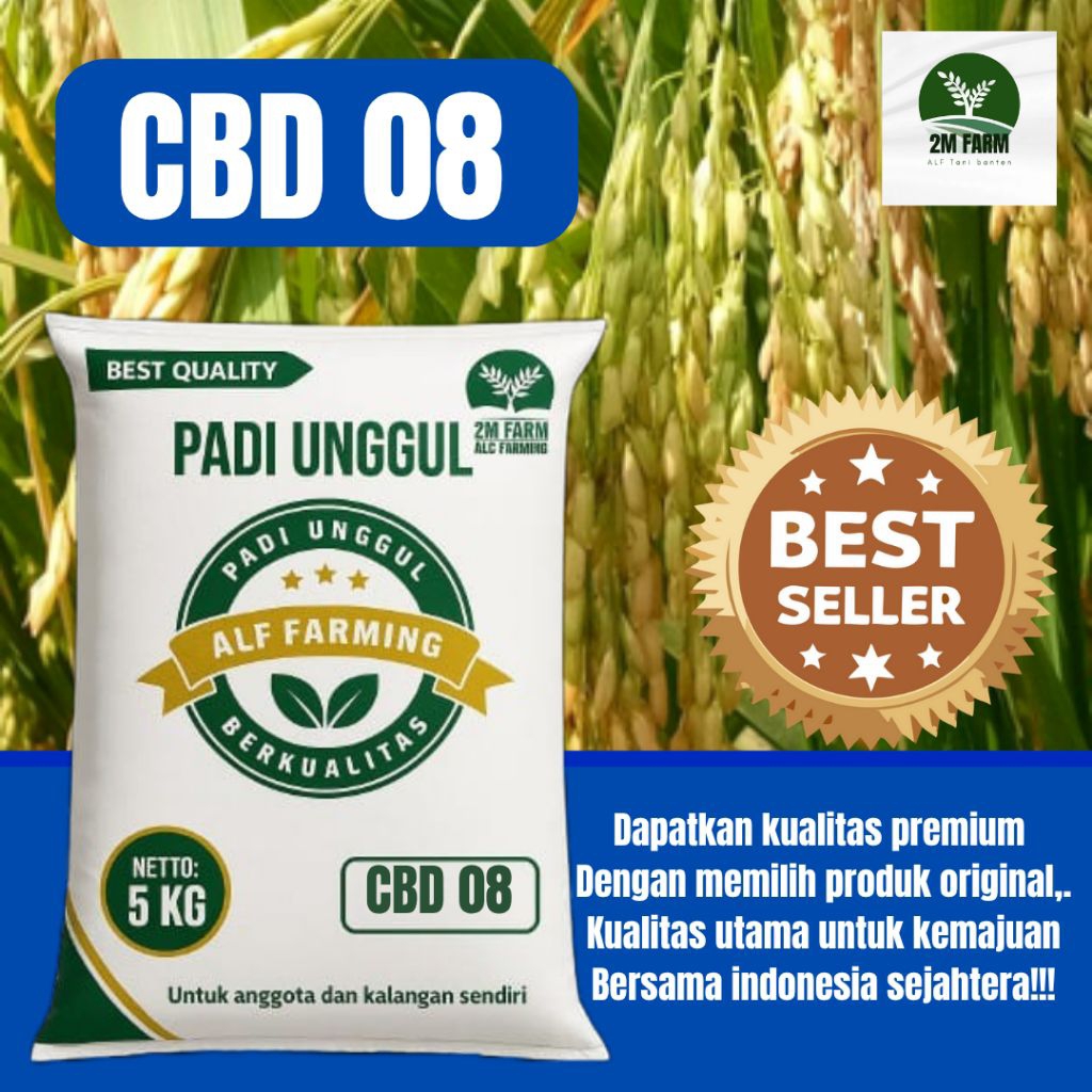 BENIH UNGGUL PADI CBD 08 KEMASAN 5KG