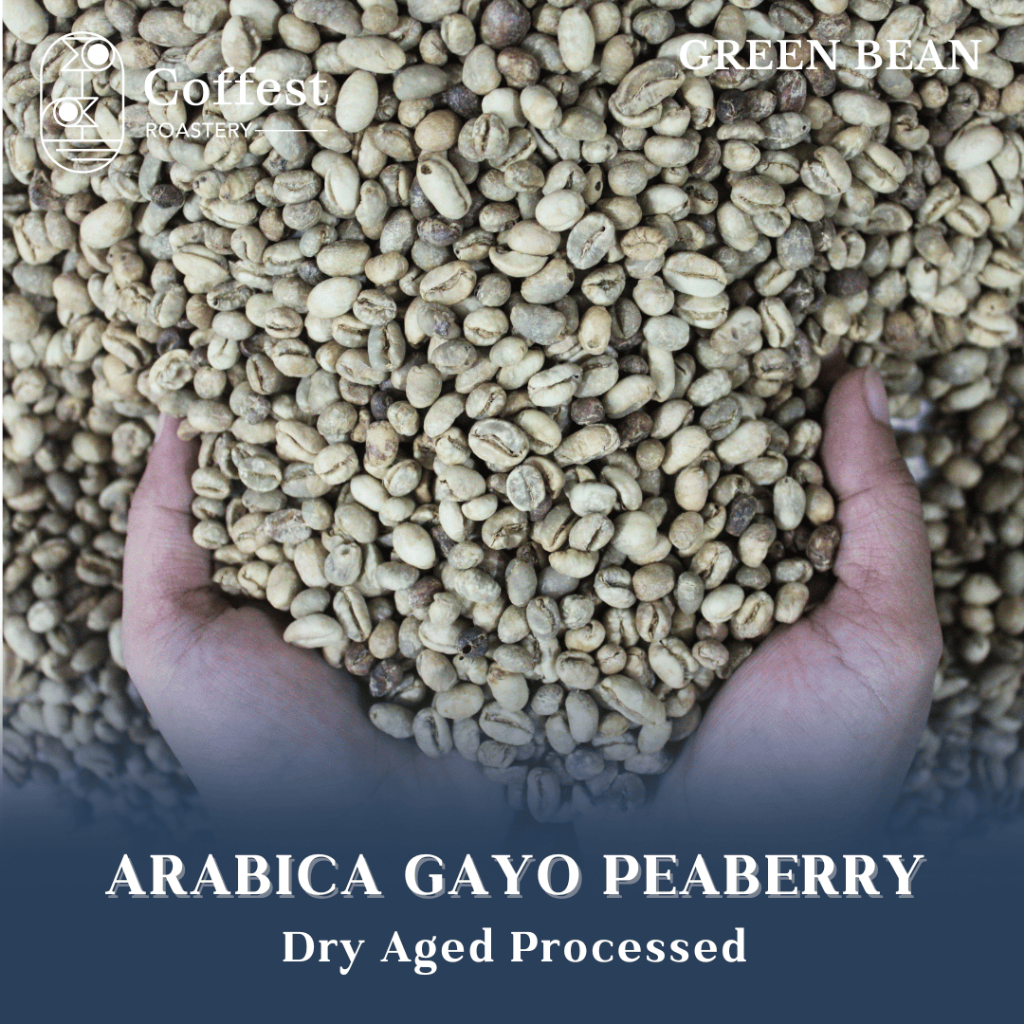 

Green Bean Arabika Gayo Peaberry - Grade 1 - Dry Aged Processed