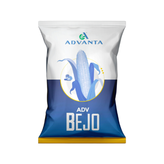 Benih Jagung ADV Bejo Kemasan 1 kg Advanta Exp 04 2026