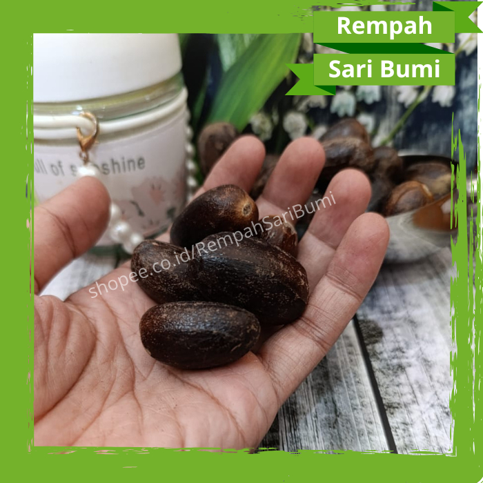 

Pala Asli Biji Pala Kualitas bagus masih berkulit