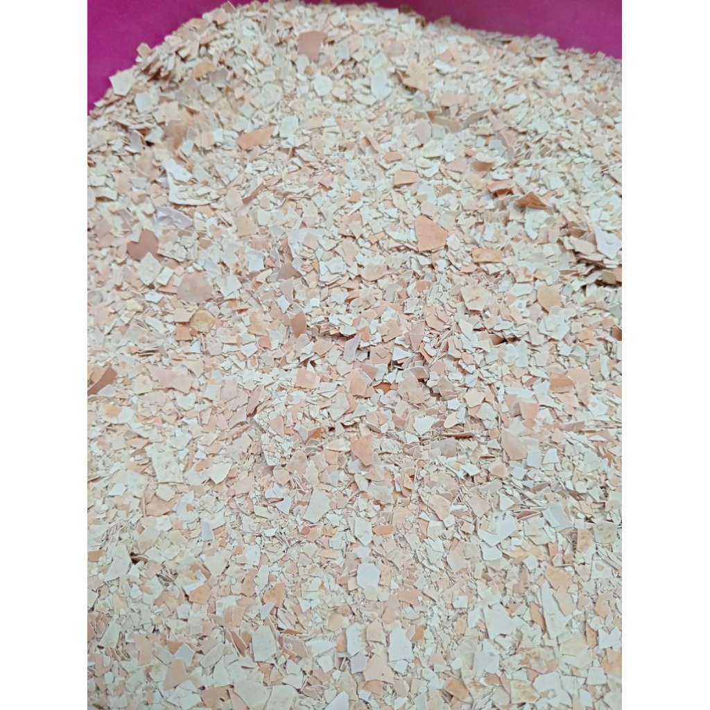 cangkang telur/kulit telur ayam