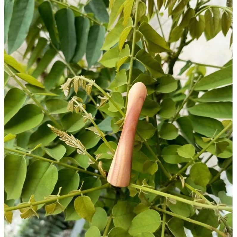 ONCE PIPA ROKOK KAYU CENDANA 7cm