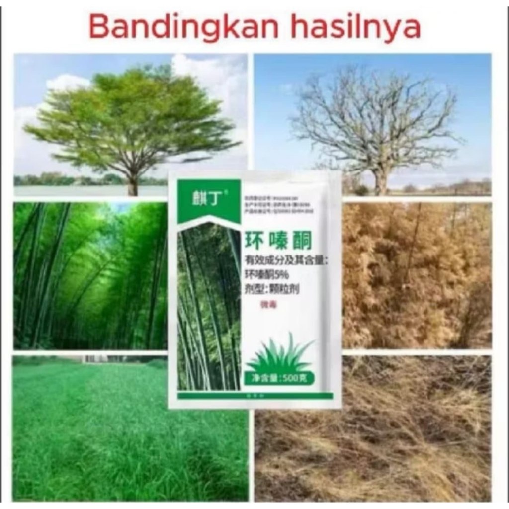Mitra Tani Obat Rumput Herbisida pembasmi rumput bisa cod