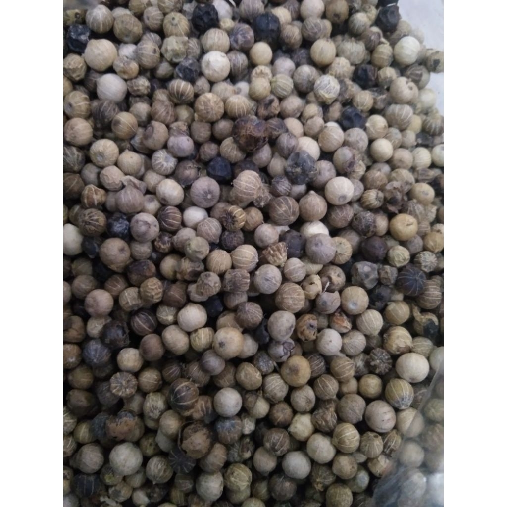 

Merica hitam non pemutih