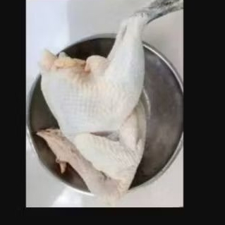 

Ayam kampung 1 kg berat hidup