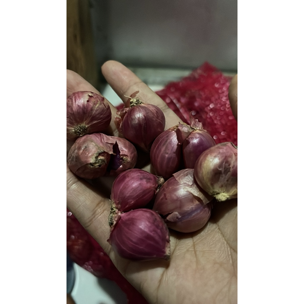BAWANG MERAH BIMA KERING 1kg